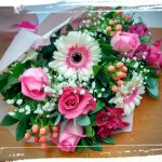 eleuthero mpoyketo roz