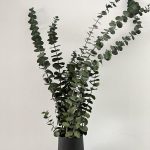 image00028 600x800 1