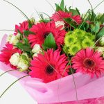 thumbnail fn5074 aliki a