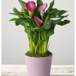 σε εξωτερικό χώρο