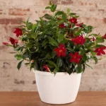 ιδέες κήπου17