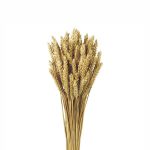 trigo flor small bunch 4212 p